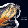 Shadowplay Release: CELL DIVISION 'Chymeia'