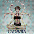 Shadowplay Release: PRAY PROJECT 'Cadavra'