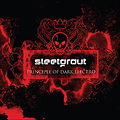 Shadowplay Release: SLEETGROUT 'Principle Of Dark Electro'