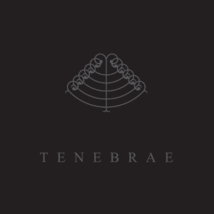 Shadowplay Release: MAJDANEK WALTZ / SAL SOLARIS 'Tenebrae '